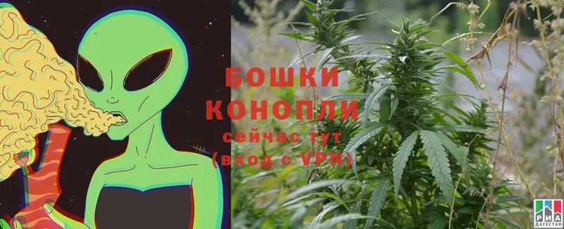 купить закладку  Азов  гидра   Конопля THC 21% 